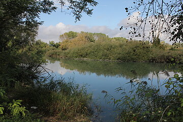 Piave vor Jesolo